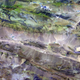 Illustration for article titled An Aerial View of Two Ecosystems